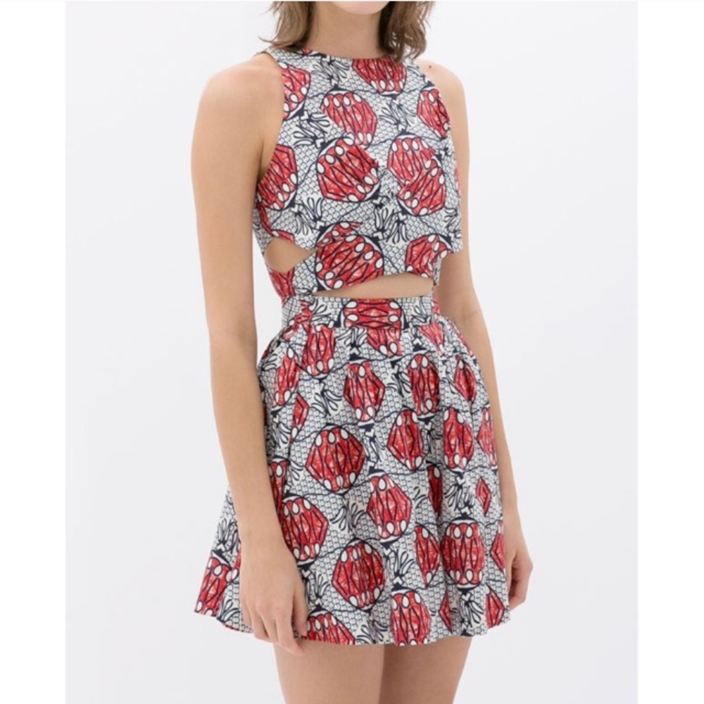 Zara printed crossover cutout fit and flare dress